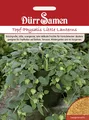 Produktbild: Topf-Physalis Little Lanterns Saatgut von Dürr-Samen