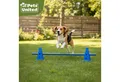 Produktbild: all Pets United Trainingshilfe All Pets United Trainingsset Hund & Kinder, Hunde Sport & Lernhilfe
