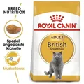 Produktbild: ROYAL CANIN British Shorthair 400g + Überraschung für die Katze