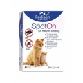 Produktbild: REDISAN Spot-on gegen Zecken+Flöhe f.Katze bis 8kg 5X2 ML