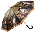 Produktbild: Luckyweather not just any other day Stockregenschirm Regenschirm Motiv FOUR KITTENS Automatik