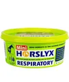 Produktbild: HORSLYX RESPIRATORY MINI 650g mentolo eucalipto e semi di anice per la salute de