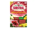 Produktbild: Substral Pflanzendünger Dünger-Stäbchen für Blühpflanzen, 60 Stück