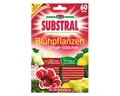 Produktbild: Substral Dünger-Stäbchen für Blühpflanzen Blumen Garten Haushalt NEU Schutz