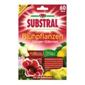 Produktbild: Substral Dünger-Stäbchen für Blühpflanzen - 60 Stück - Pflanzen Dünge-Sticks
