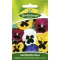 Produktbild: Stiefmütterchen, Frühblühende Mischung