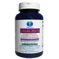 Produktbild: Guggul Indische Myrrhe Ayurveda Guggulsterone 180 Pulver Kapseln