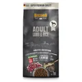 Produktbild: Belcando Adult Lamb & Rice Hundefutter | Trockenfutter für empfindliche Hunde | Alleinfuttermittel für ausgewachsene Hunde ab 1 Jahr (1 kg neu)