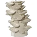 Produktbild: Vase, Beige, Keramik, organisch, 18x24x15 cm, Reach, nur zu Dekorationszwecken, Dekoration, Vasen, Keramikvasen