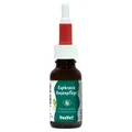 Produktbild: cdVet VeaVet Euphrasia Augenpflege 20 ml für Hunde, UVP 8,95 EUR, NEU