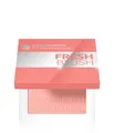 Produktbild: Bell HYPOAllergenic Fresh Blush Rouge 4.8 g Nr. 02 Frozen Rose