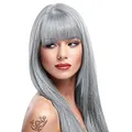 Produktbild: 2 X La Riche Directions Semi-Permanent Hair Color 88ml Tubs - Silver