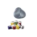 Produktbild: Directions Haarfarbe Silber 100ml - Tönung Haare Intensive Haartönung Grau