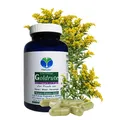 Produktbild: Echte GOLDRUTE Solidago 120 KRÄUTER Kapseln [OHNE ZUSATZSTOFFE] zur FREUDE von NIEREN - BLASE - HARNWEGE [NATUR pur] 26935-120
