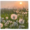 Produktbild: Lunchservietten „Dandelion Clock“, 33x33 cm, 3-lagig, Home Fashion®, 20 Stück