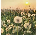 Produktbild: HOME FASHION Papierserviette 20 Servietten Dandelion Clock - Wiese voller Löwenzahn 33x33cm, (20 St)