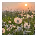 Produktbild: Lunchservietten „Dandelion Clock“, 33x33 cm, 3-lagig, Home Fashion®, 20 Stück, C