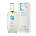 Produktbild: Elizabeth Arden Blue Grass Eau De Parfum EDP 100 ml (woman)