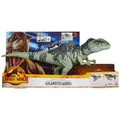 Produktbild: Mattel GYC94 - Jurassic World - Strike N Roar Giganotosaurus