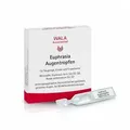 Produktbild: Euphrasia Augentropfen 30x0,5ml