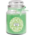 Produktbild: HS Candle Duftkerze im Glas - Duft-Schriftzug Bonbon groß - 16cm x Ø10 cm - Coconut - Limes