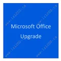 Produktbild: Microsoft Office Upgrade