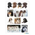Produktbild: HERMA Sticker Hunde (72 Sticker) (15622)
