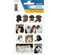 Produktbild: HERMA Etiketten HERMA 15622 Aufkleber Hunde 24St.