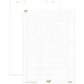 Produktbild: Ursus-Green Flipchart-Papier 608580020, Recycling, kariert / blanko, 68 x 99 cm, 20 Blatt, 5 Stück