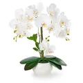 Produktbild: PASCH® Orchideen künstlich in Hochglanz-Keramiktopf (40cm) | Kunstblumen im Topf | Kunstblumen wie echt | künstliche Orchideen im Topf | künstliche Blumen im Topf | Kunstblume Orchidee
