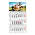Produktbild: Timr 3-Monatskalender 2026 Jahresübersicht - 53 cm - International mehrsprachig D/GB/F/I/E/NL - Wandkalender mit Schieber - Motiv Kuh I tr354