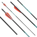 Produktbild: [6er, 12er, 18er, 24er Set] Sphere Hunter Pro - Carbonpfeil mit Vanes; besonders für Jagd- BZW. 3D-Schützen, Sport mit Pfeil und Bogen (Spine 400, 24er Pack)