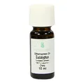 Produktbild: ätherisches ÖL Eucalyptus