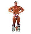 Produktbild: WWE Pappaufsteller (Stand Up) - British Bulldog (181cm)