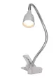 Produktbild: Lampe Anthony Schreibtischlampe eisen/titan – verstellbare Klemmlampe - LED T...