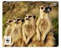 Produktbild: Speedlink TERRA WWF Mousepad - recyceltes Mauspad aus strapazierfähigem Material, Erdmännchen
