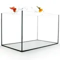 Produktbild: Aquarium Becken rechteckig standard Größen Glas Aquariumbecken Garnelenaquarium Mini Aquarium Salzwasseraquarium Nanobecken 50x30x30