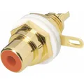 Produktbild: BKL Electronic 0101143-C Cinch-Steckverbinder Buchse, Einbau Polzahl: 2  Schw...