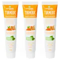 Produktbild: Fluoridfreie Zahnpasta natürliche Antiplaque Zahncreme Minze Kurkuma 3 x 75 ml