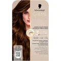 Produktbild: Garnier Schwarzkopf Creme Supreme Hair Color Shade 668 Light Caramel Brown (Hellbraun) (64423709)