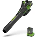 Produktbild: Greenworks GD60AB (Akkubetrieb, Laubbläser) (GR2405607VT)