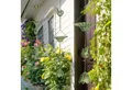 Produktbild: Outsunny Dekoobjekt 123cm lang (Regenketten, 3 St., Regenfänger), mit Vögeln, Blumenbechern, aus Metall, für Dachrinnen, Grün