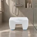Produktbild: Badestuhl, Duschstuhl, WENKO