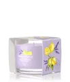 Produktbild: Yankee Candle Lemon Lavender Duftkerze 37 g
