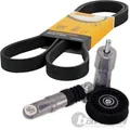 Produktbild: CONTI KEILRIPPENRIEMEN + SPANNER passend für AUDI A4 A6 VW GOLF 4 PASSAT 3B 1.9