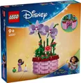 Produktbild: LEGO® Disney 43237 - Isabelas Blumentopf  + NEU & OVP +