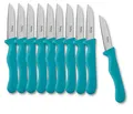 Produktbild: 10er SET METALTEX 248127020 Basic Gemüsemesser 18,5 cm - AQUAMARINE/CHROMOTHERAPY