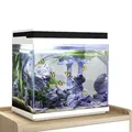 Produktbild: AquaOne Aquarium Komplettset LED mit Pumpe HNE-380 I Kleines Nanoaquarium 26 Liter mit Filteranlage I Mini Nano Becken Set für Fische und Garnelen