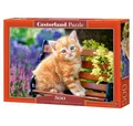 Produktbild: Castorland Puzzle Puzzle Ingwer Kätzchen 500 Teile, Puzzleteile