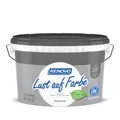 Produktbild: RENOVO Dispersionsfarbe - grau